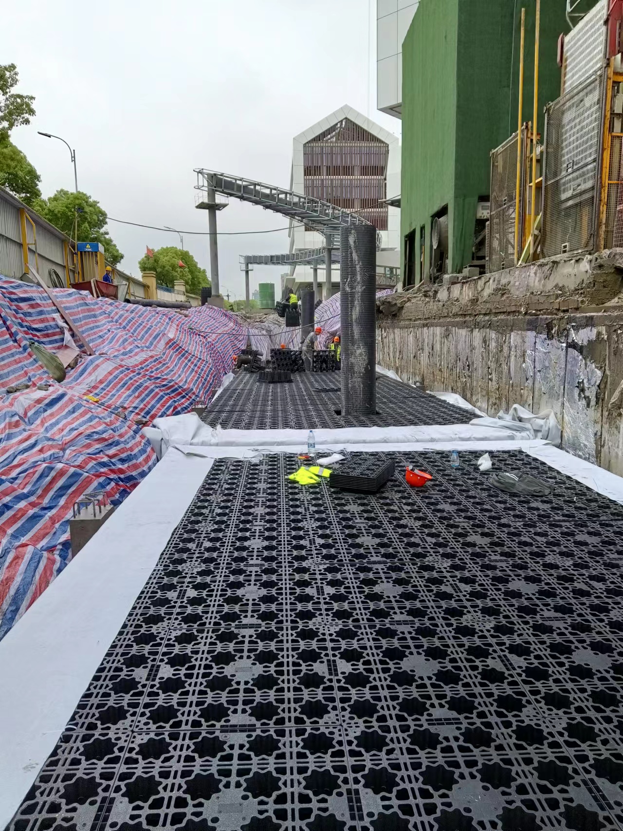 1655191065315088.jpg 5.jpg