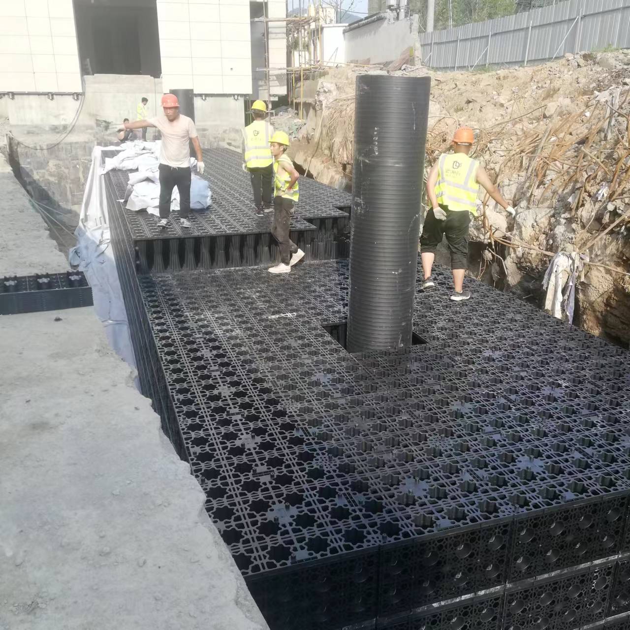 1656985807336789.jpg 6.jpg